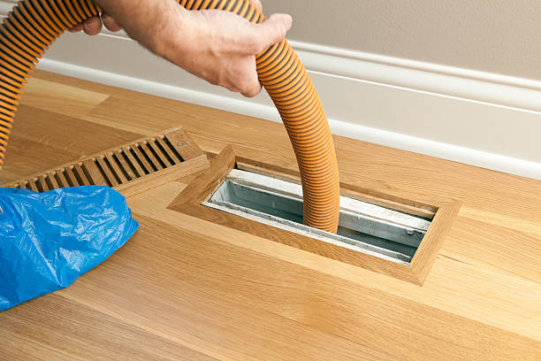 Best Professional Duct Cleaning Services  in Needles, CA