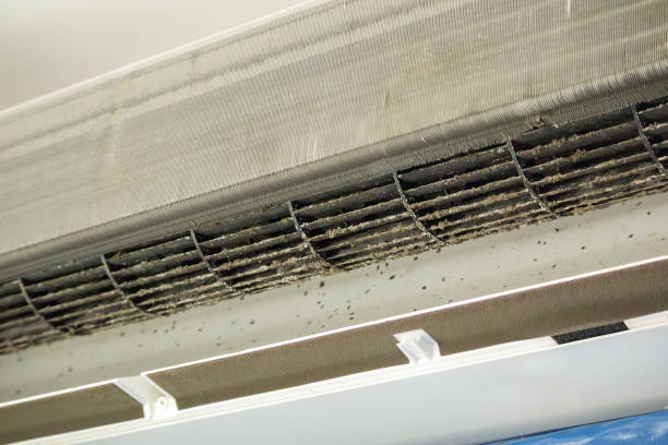 Best Affordable HVAC Duct Cleaning  in Needles, CA